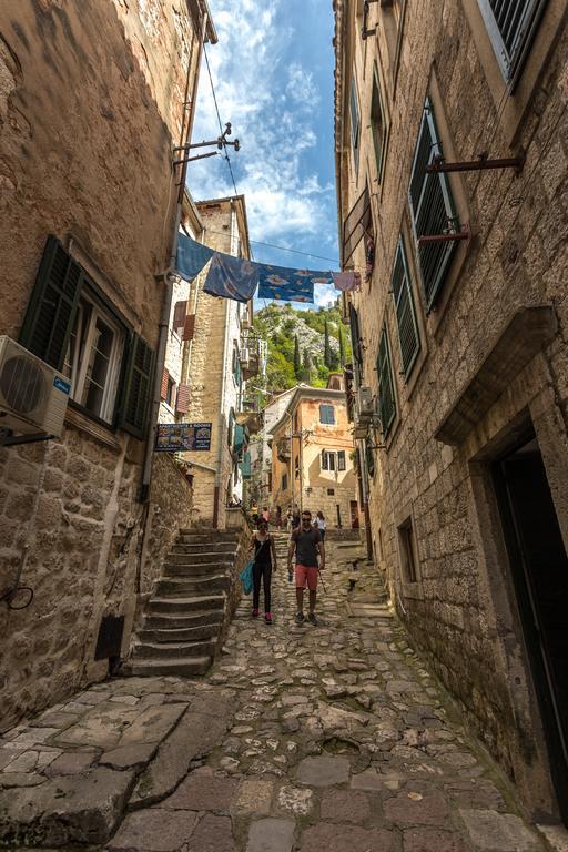 Neda Kotor